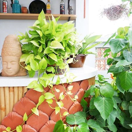 An Nhien Boutique Villa 호이안 외부 사진